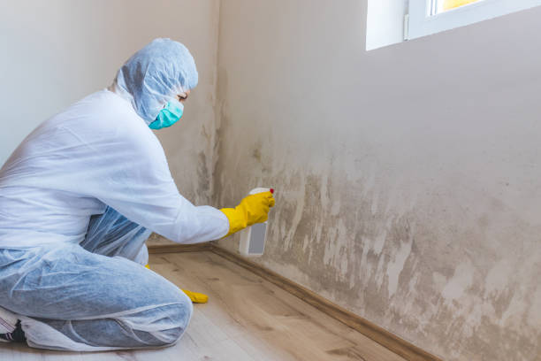 Licensed Crawl Space Mold Removal service in Rock Hall, MD - WQB Mold Removal