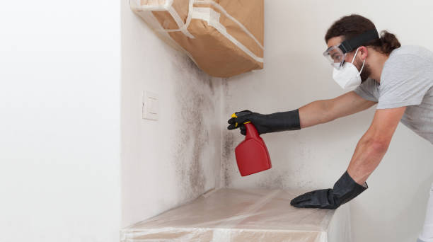 Professional Crawl Space Mold Removal technician working in Rock Hall, MD